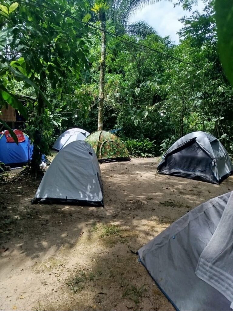 WhatsApp Image 2026-01-19 at 19.28.53 (2)