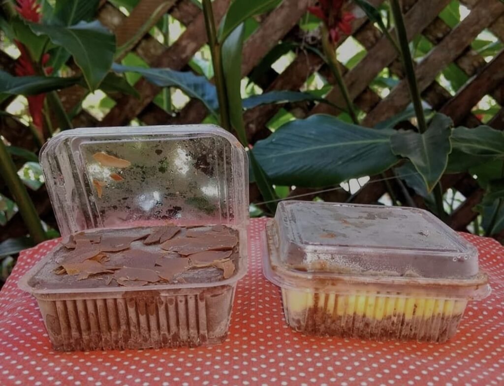 WhatsApp Image 2026-01-23 at 15.41.40