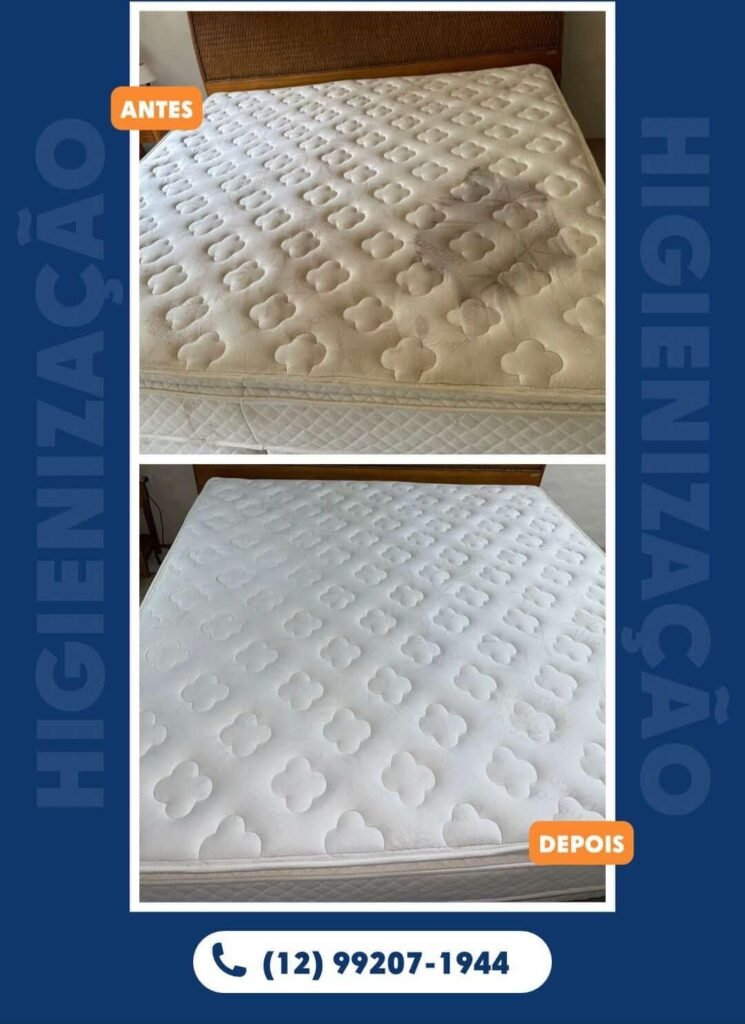 WhatsApp Image 2026-02-12 at 19.25.57