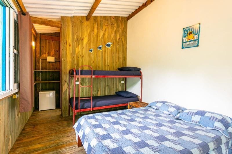 WhatsApp Image 2026-02-12 at 19.32.25 (1)