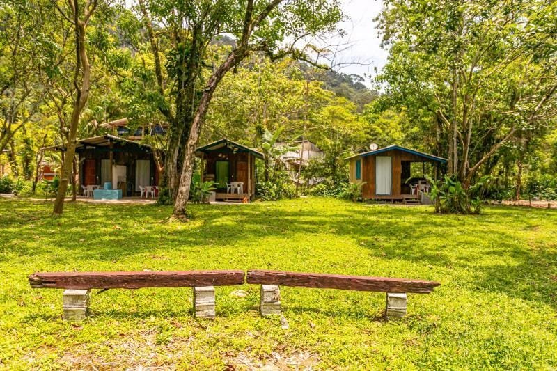 WhatsApp Image 2026-02-12 at 19.32.25