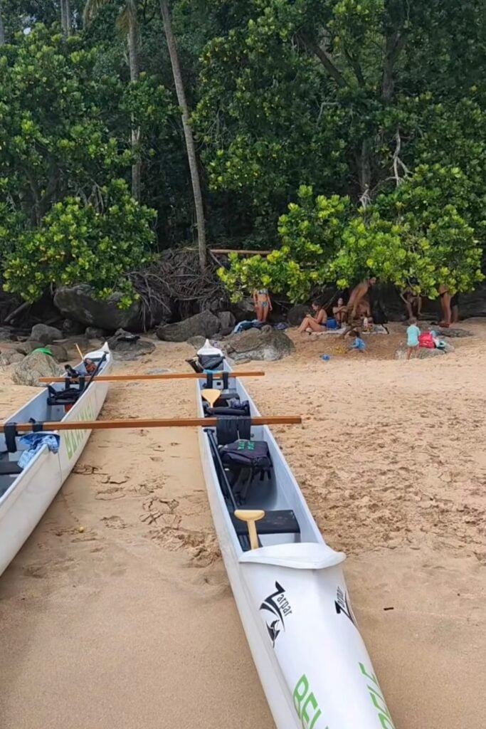 WhatsApp Image 2026-03-13 at 17.25.39