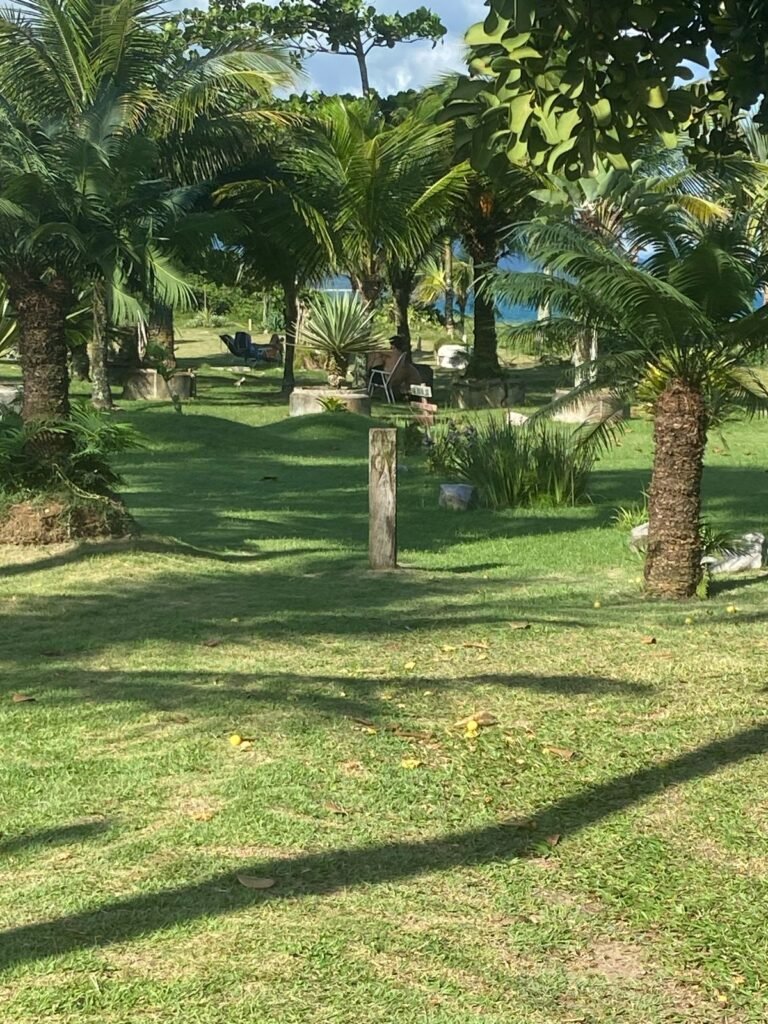 WhatsApp Image 2026-03-20 at 22.35.19 (1)