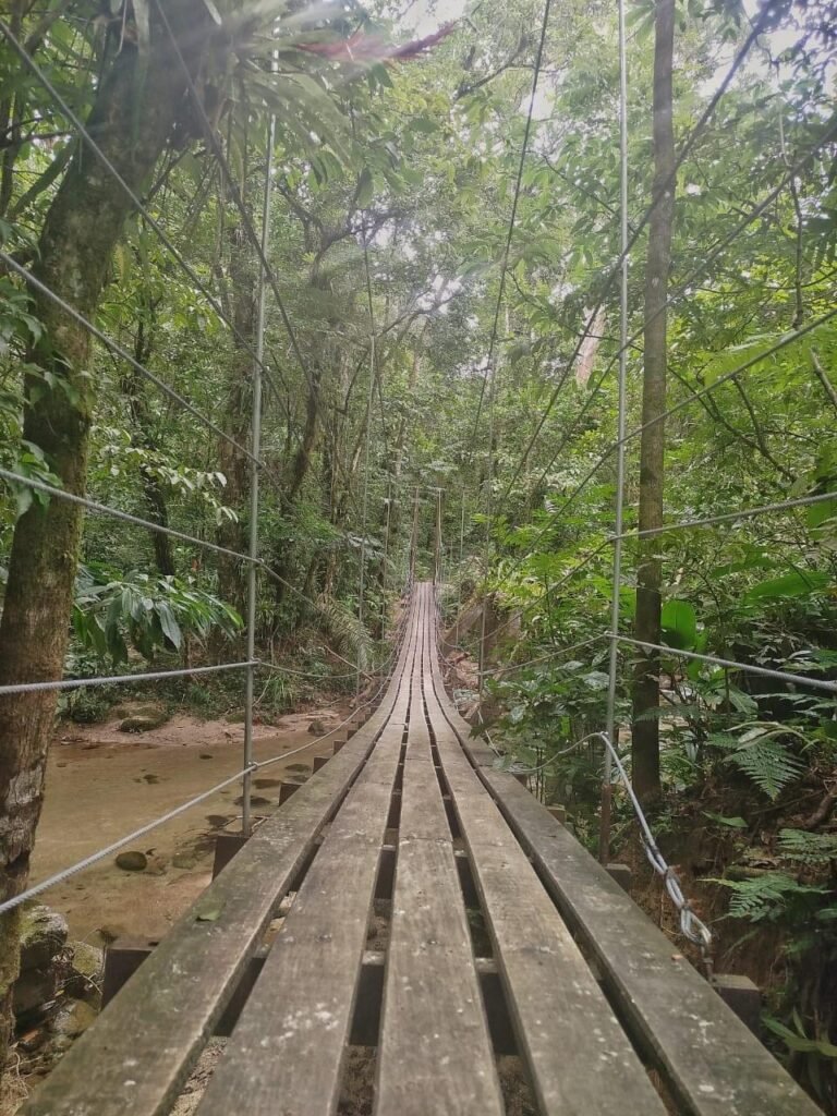 WhatsApp Image 2026-03-23 at 12.46.44